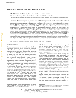 Nonmuscle Myosin Motor of Smooth Muscle
