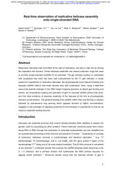 Real-time observation of replicative helicase assembly