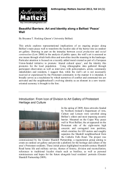Beautiful Barriers: Art and Identity along a Belfast `Peace` Wall