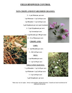 field bindweed control non-cropland/established grasses