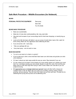 Safe Work Procedures