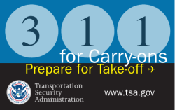 311-TSA Travel Tips - Detroit Family and MWR