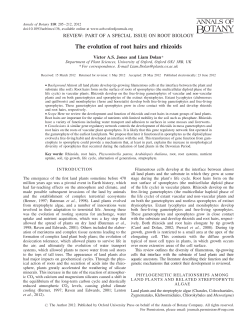 The evolution of root hairs and rhizoids