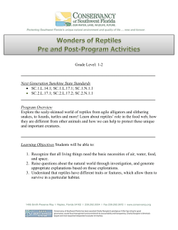 snakes, to lizards, turtles and more! Learn about reptiles