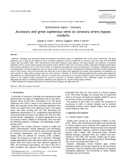 Accessory and great saphenous veins as