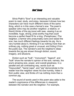 Sow" Essay