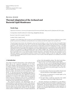Thermal Adaptation of the Archaeal and Bacterial Lipid Membranes