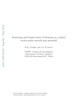 Scattering and bound states of fermions in a mixed vector