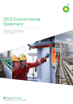 2013 Environmental Statement