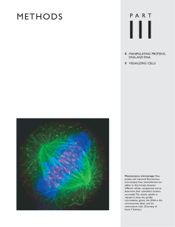 methods - Berkeley MCB