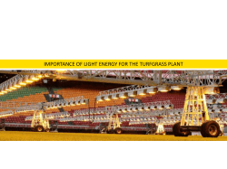 Importance of light energy for the grass plant