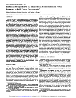 Inhibition of Etoposide (VP-l&Atilde;&sup3;)-induced DNA Recombination and