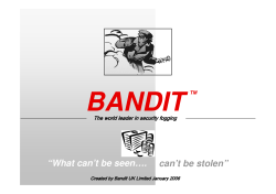 Fog Bandit Presentation