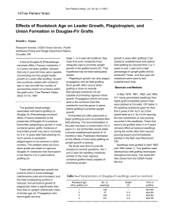 Effects of Rootstock Age on Leader Growth, Plagiotropism, and