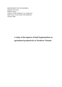 A study of the impacts of land fragmentation on agricultural