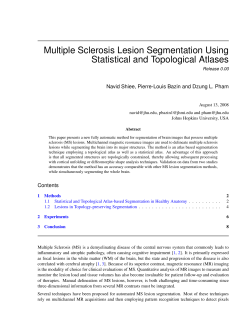 Multiple Sclerosis Lesion Segmentation Using Statistical and