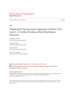 Duplicated Chromosome Segments in Maize