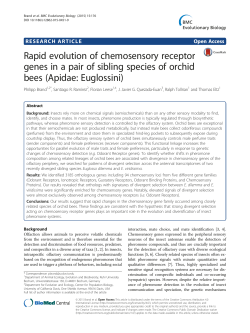 Rapid evolution of chemosensory receptor genes in a pair of sibling