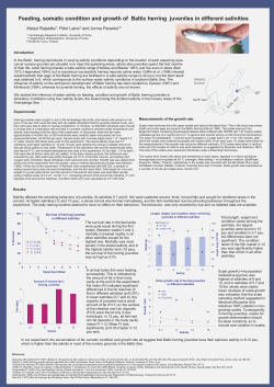 Feeding, somatic condition and growth of Baltic herring juveniles in