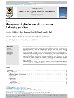 Full text - Brainlife.org