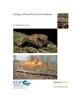 Ecology of Dead Wood in the Southeast