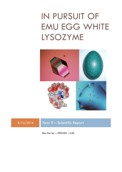 In pursuit of Emu Egg White lysozyme