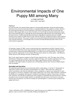 Environmental Impacts of One Puppy Mill among Many
