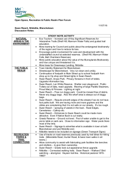 Consultation Discussion Notes &ndash; Swan Reach, Nildottie, Blanchetown