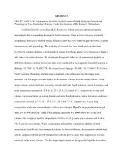 ABSTRACT HENRY, AMY LOU. Monoecious Hydrilla (Hydrilla