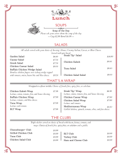 Andy`s Lunch Menu