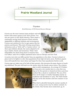 Prairie Woodland Journal