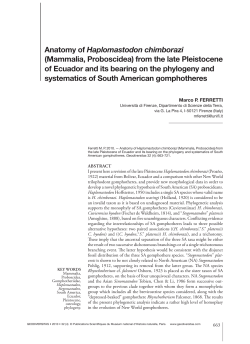 full article in PDF format