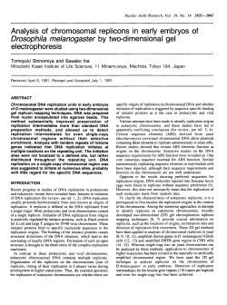 Analysis of chromosomal replicons in early embryos of Drosophila