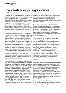 How cheetahs outpace greyhounds