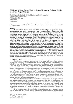 Efficiency of Light Energy Used by Leaves Situated in Different