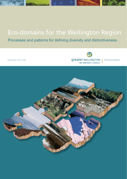 Eco-domains for the Wellington Region