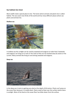 Sea habitats fact sheet