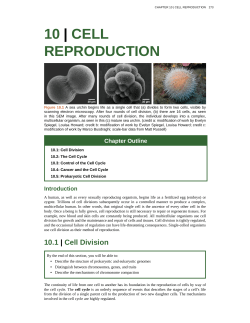 10 | cell reproduction - Open Textbooks Project