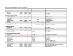 Common Marine Invertebrates of Sonoma Coast Sites