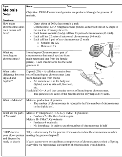 Meiosis