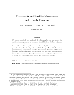 Productivity and Liquidity Management Under Costly Financing