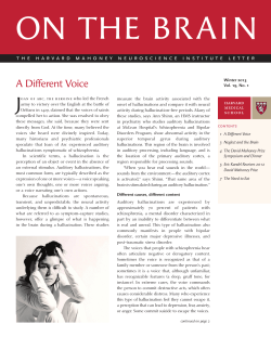 On The Brain - HMS - Harvard University