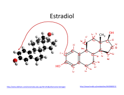 Estradiol