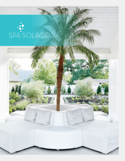 our spa brochure