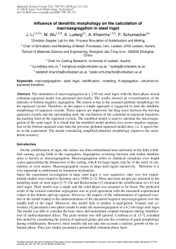 Influence of dendritic morphology on the calculation of
