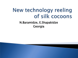 Dr N. Baramidze and Prof. Shapakidze presentation