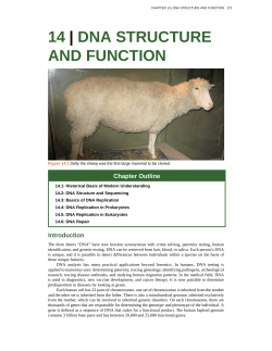 14 | dna structure and function