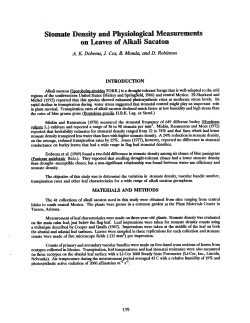 Stomate Density and Physiological Measurements on Leaves of