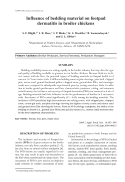 Influence of bedding material on footpad dermatitis in broiler chickens