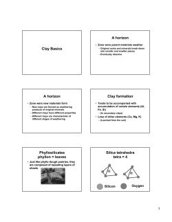 Clay Basics A horizon A horizon Clay formation Phyllosilicates